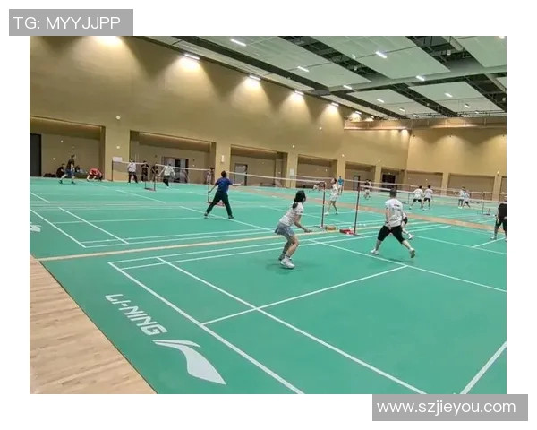 深圳羽毛球队的包夹战术揭秘与深度分析